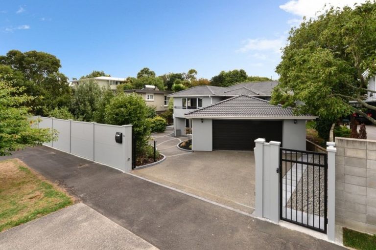 Photo of property in 14 Riverview Terrace, Fairfield, Hamilton, 3214