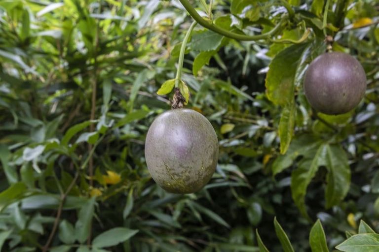 Photo of property in 14 Chilton Drive, Mairehau, Christchurch, 8052