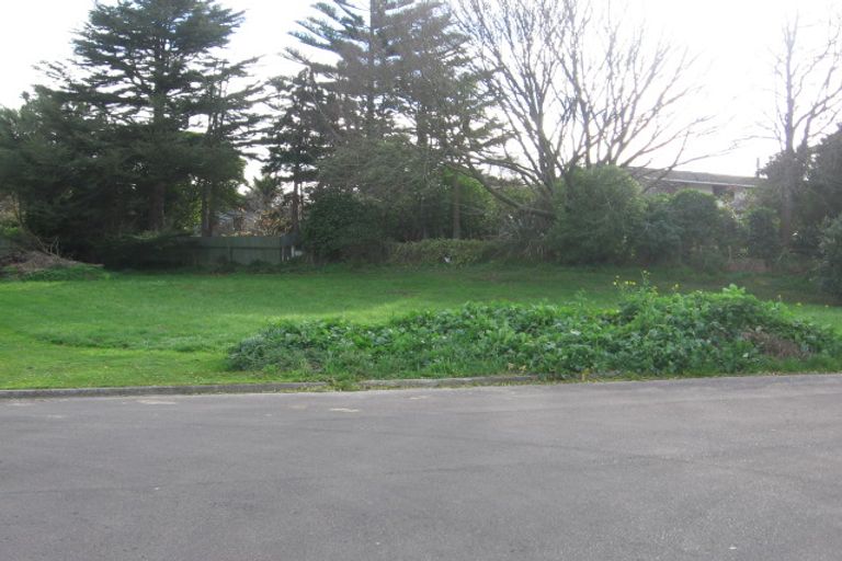 Photo of property in 5 Heritage Place, Terrace End, Palmerston North, 4410