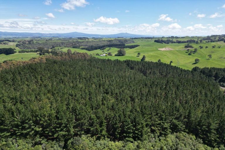 Photo of property in 1401 Whangamata Road, Marotiri, Taupo, 3377