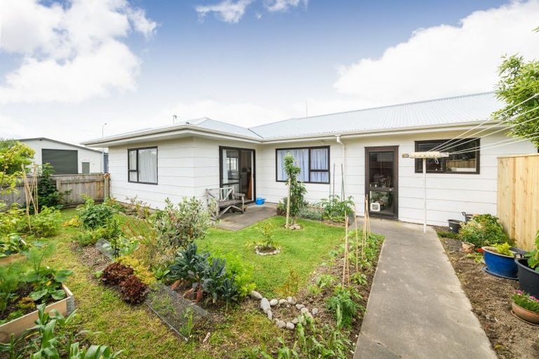 Photo of property in 46 Weld Street, Feilding, 4702