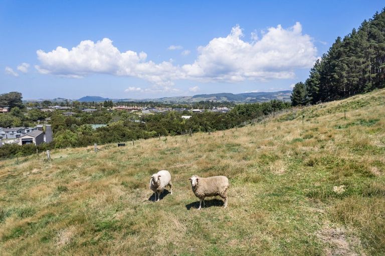 Photo of property in 36a Orchard Road, Waiake, Auckland, 0630