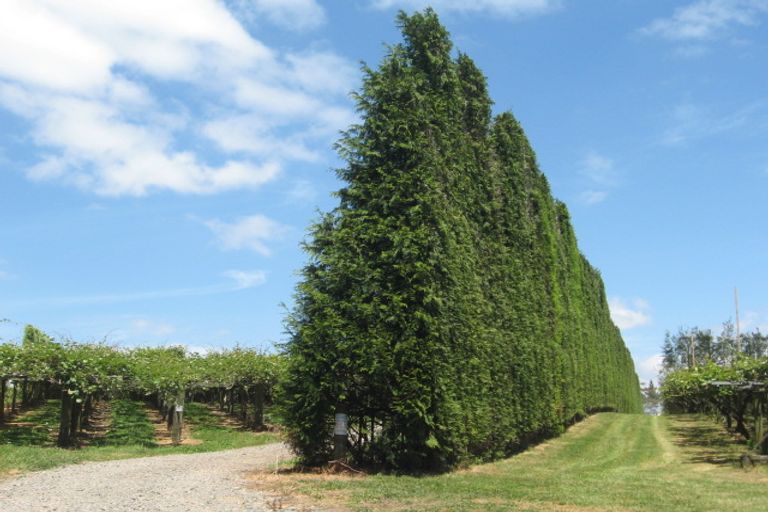 Photo of property in 138 Tuapiro Road, Tahawai, Katikati, 3170