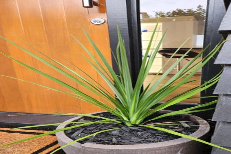 Photo of property in 2/44 Waimumu Road, Massey, Auckland, 0614