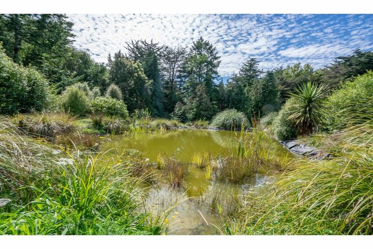 Photo of property in 240 Forestry Road, Ashley, Rangiora, 7477