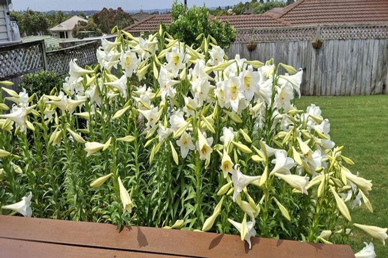 Photo of property in 15 Summerland Drive, Henderson, Auckland, 0612