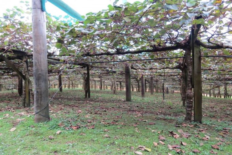 Photo of property in 237a Busby Road, Tahawai, Katikati, 3170