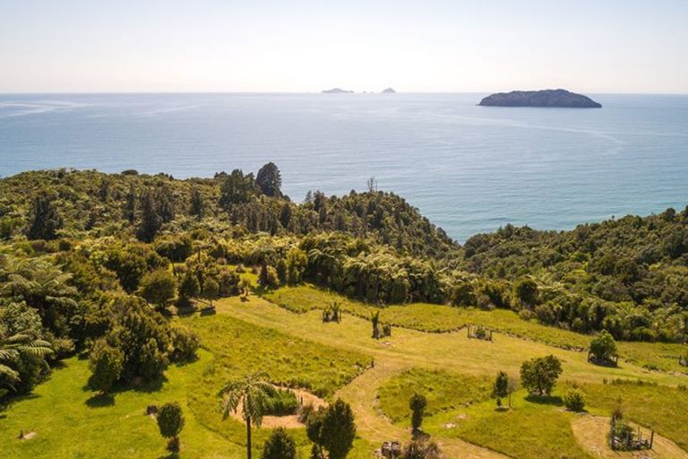 Photo of property in 42 Ocean Beach Road, Tairua, 3508