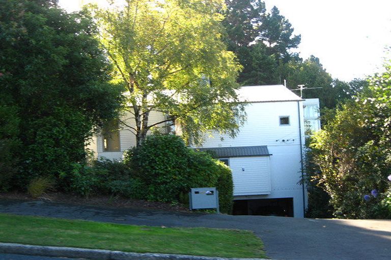 Photo of property in 123 Balmacewen Road, Wakari, Dunedin, 9010