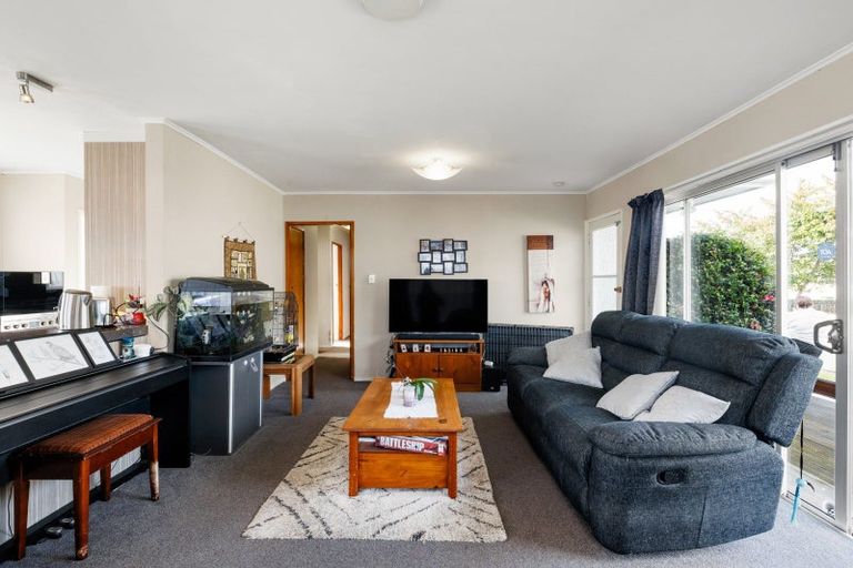 Photo of property in 384a Kahikatea Drive, Dinsdale, Hamilton, 3204