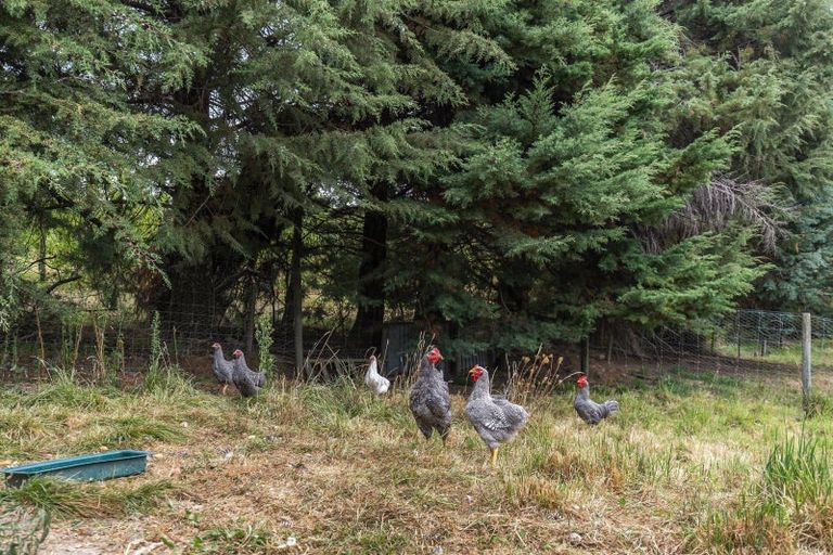 Photo of property in 103 Neudorf Road, Upper Moutere, 7175