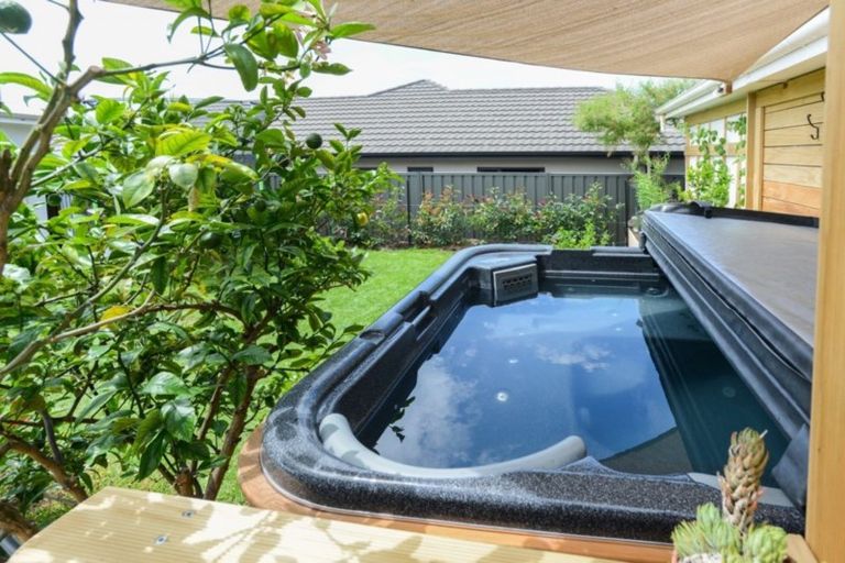 Photo of property in 713 Ballantyne Street, Frimley, Hastings, 4120