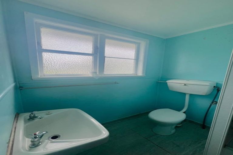 Photo of property in 101 Orchard West Road, Ngatea, 3503