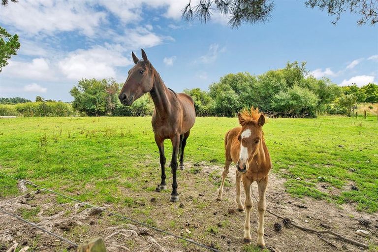 Photo of property in 214 Bush Road, Oxford, 7495