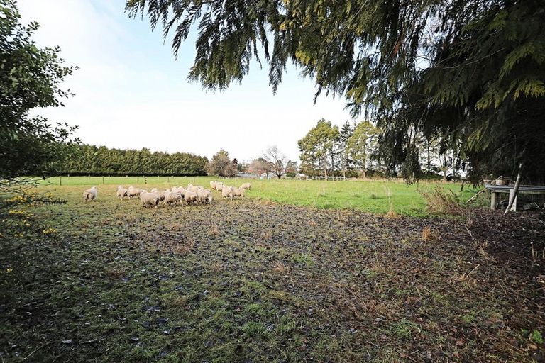 Photo of property in 150 Channel Road, Winton, 9781