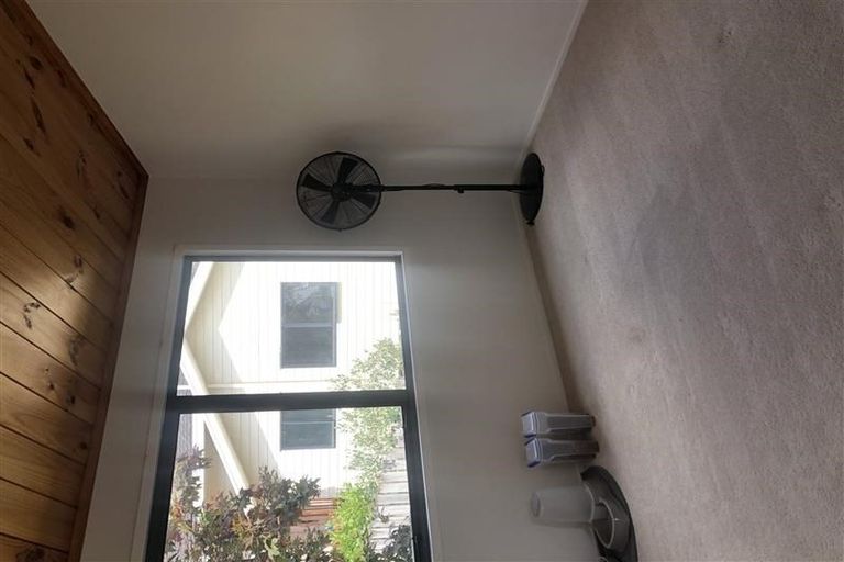 Photo of property in 16 Emlyn Place, Torbay, Auckland, 0630