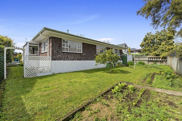 Photo of property in 105 Crosby Road, Chartwell, Hamilton, 3210