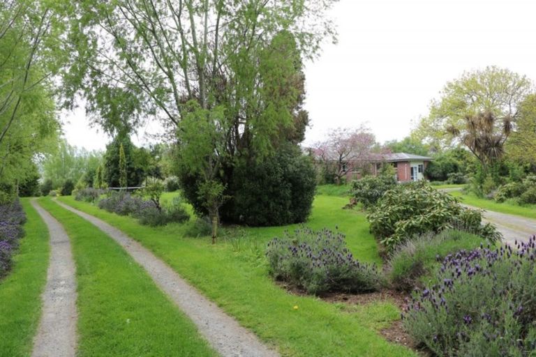 Photo of property in 464 Owaka Valley Road, Owaka, 9586