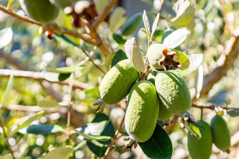 Photo of property in 8 Grove Road, Mangawhai Heads, Mangawhai, 0505