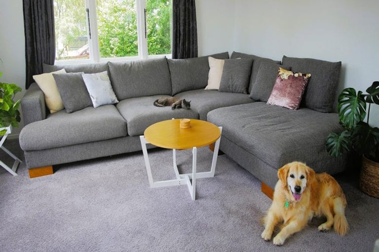 Photo of property in 79 Robinson Crescent, Westbrook, Palmerston North, 4412