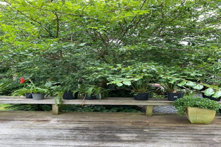 Photo of property in 63 View Road, Mount Eden, Auckland, 1024