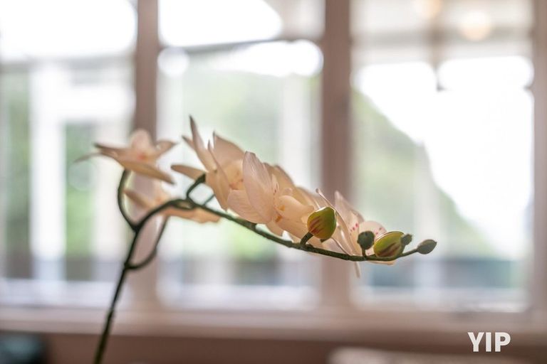 Photo of property in 26 Arapiko Street, Johnsonville, Wellington, 6037