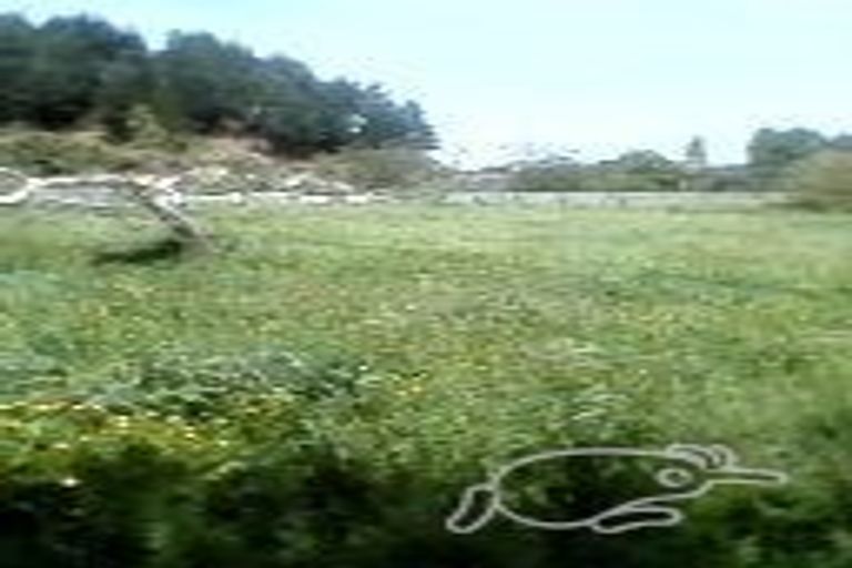 Photo of property in 6 Severn Street, Waitotara, Whanganui, 4588