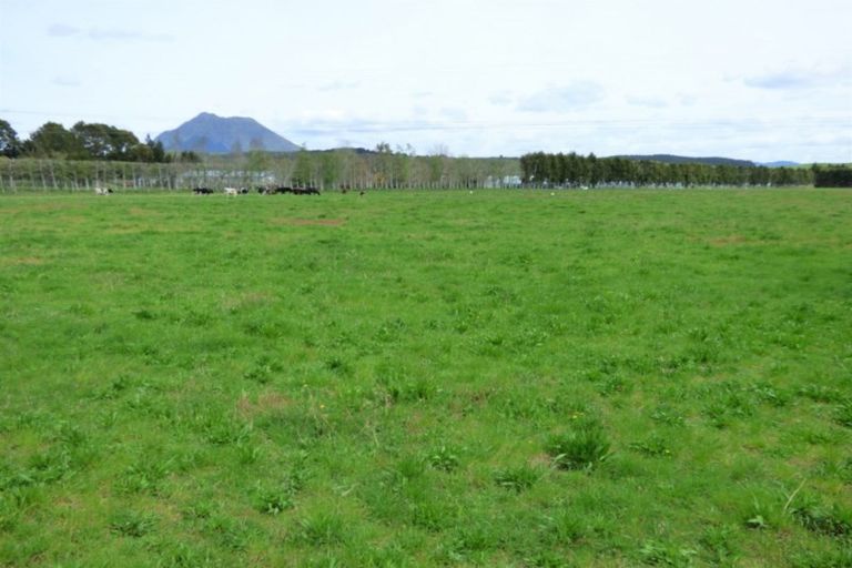 Photo of property in 410 Macdonald Road, Te Teko, Whakatane, 3192