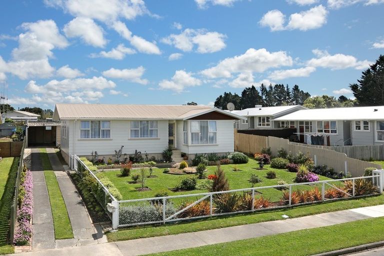 Photo of property in 14 Fergusson Street, Marton, 4710