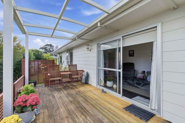 Photo of property in 38 Hereford Street, Springvale, Whanganui, 4501