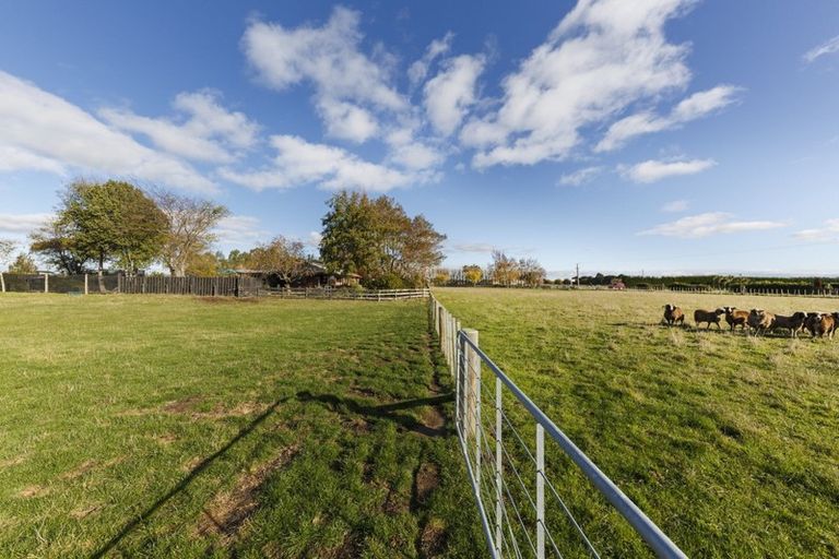 Photo of property in 136 Pharazyn Road, Feilding, 4777