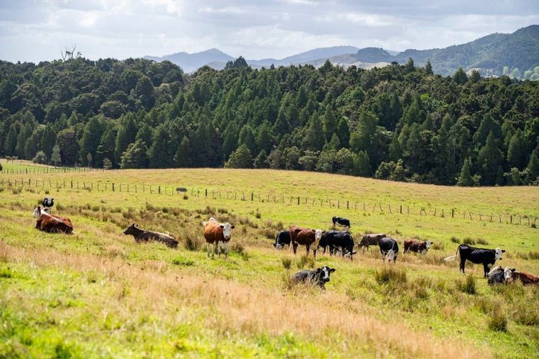 Photo of property in 136 Knight Road, Ruatangata West, Whangarei, 0176