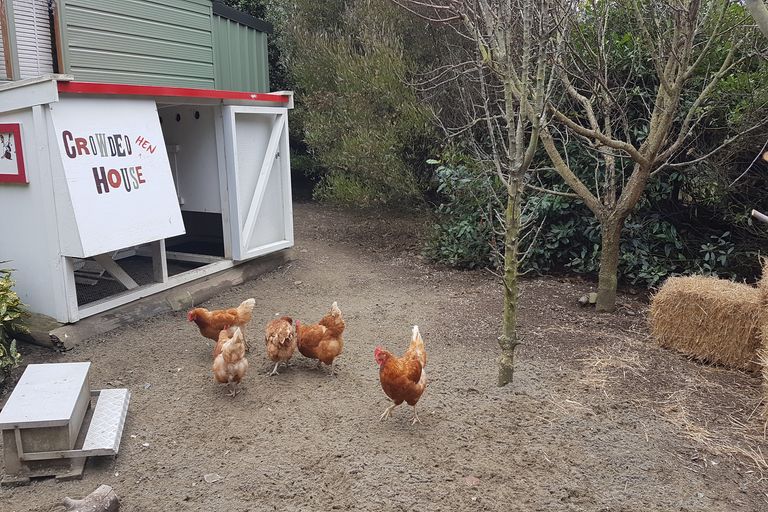 Photo of property in 14 Faith Place, West Melton, Christchurch, 7675