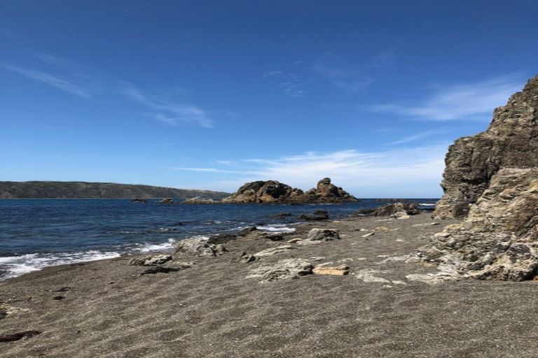 Photo of property in 44a Stone Street, Miramar, Wellington, 6022