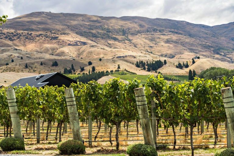 Photo of property in 1 Shortcut Road, Cromwell, 9310