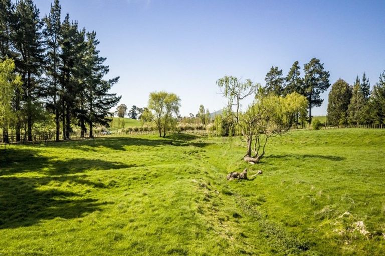 Photo of property in 86 Tod Road, Otane, 4277