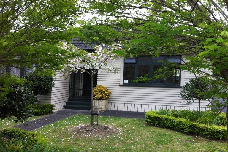 Photo of property in 53 Nixon Street, Hamilton East, Hamilton, 3216