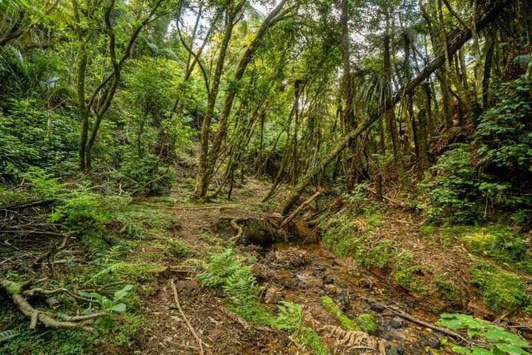 Photo of property in 677 Work Road, Whakamarama, Katikati, 3181