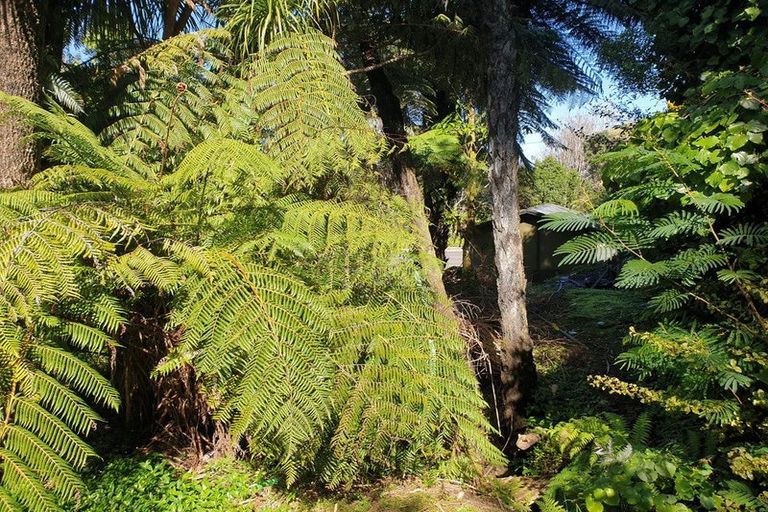 Photo of property in 1580 Rings Road, Coromandel, 3506
