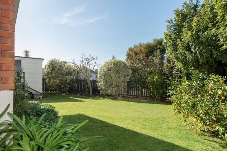Photo of property in 35b Balmoral Terrace, Otumoetai, Tauranga, 3110