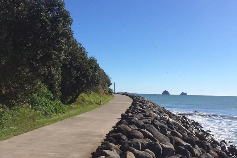 Photo of property in 62 Whiteley Street, Moturoa, New Plymouth, 4310