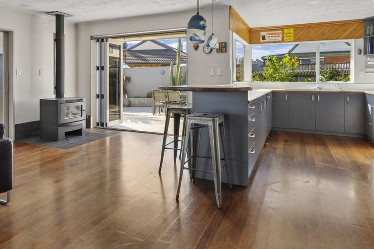 Photo of property in 6 Ledger Close, Richmond, 7020