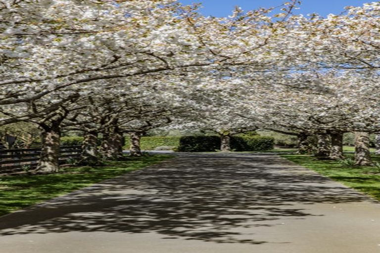 Photo of property in 184 Vicenza Drive, Ohoka, Kaiapoi, 7692