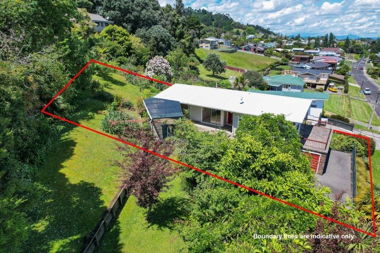 Photo of property in 318 Hill Street, Thames, 3500