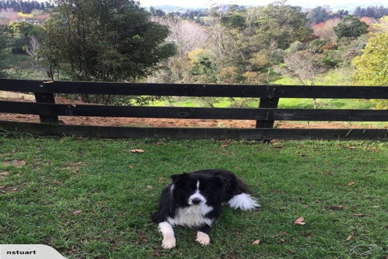 Photo of property in 1 Furniss Lane, Tauriko, Tauranga, 3110