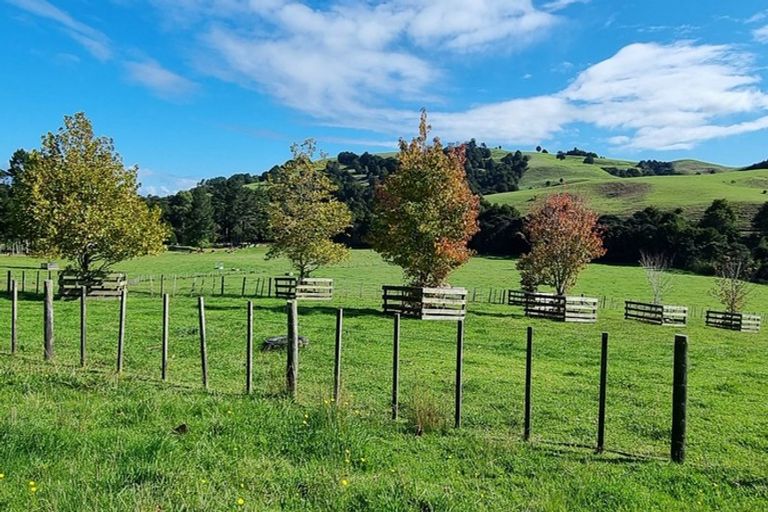 Photo of property in 11 Millett Road, Whangaripo, Wellsford, 0972