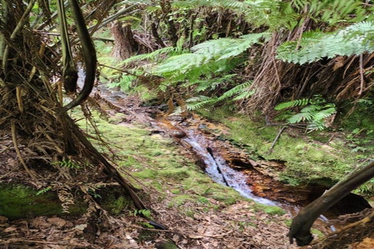 Photo of property in 314 Busby Road, Tahawai, Katikati, 3170