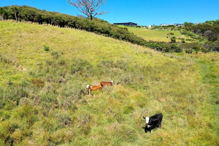 Photo of property in 119a Heatherlea Drive, Ruakaka, 0171