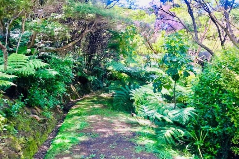 Photo of property in 288 Bellville Drive, Coromandel, 3506