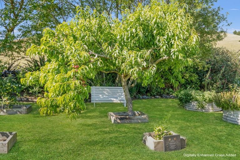 Photo of property in 49 Princes Street, Waikari, 7420